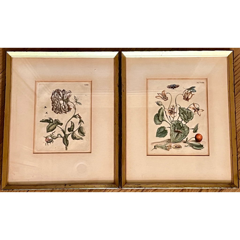 18th C. English Botanicals, Pair -  POSH 